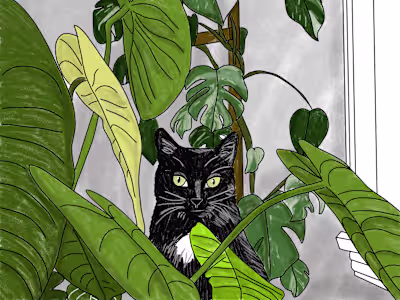 Pet Portrait Series
