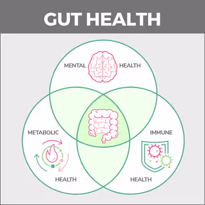 How Does Exercise Influence Gastroenterology Health?