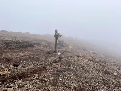 This Our Daily Bread