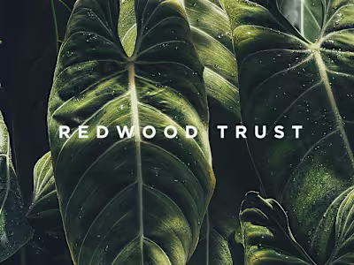 Brand + Web Design: Redwood Trust
