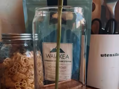 Waiākea X Wonnuri