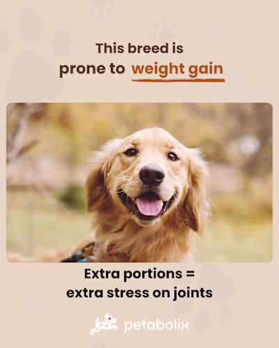 Social Media Marketing for a