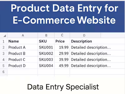 Product Catalog Data Entry for E-Commerce Site