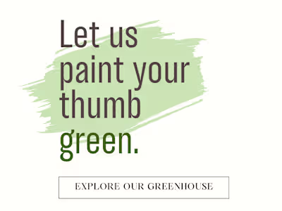 Website page Copy | PDF to Flipbook