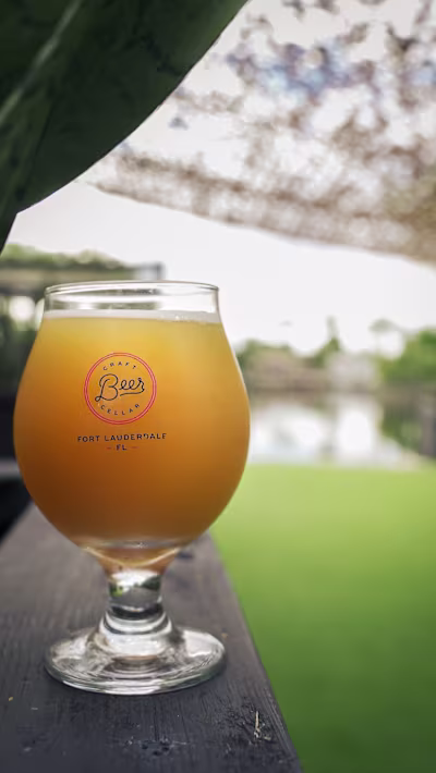 Business Highlight: Craft Beer Bar