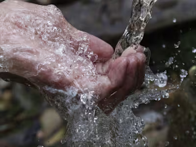 Water