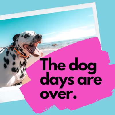 Instagram Copy — Pawse, the Pet Insurance Company