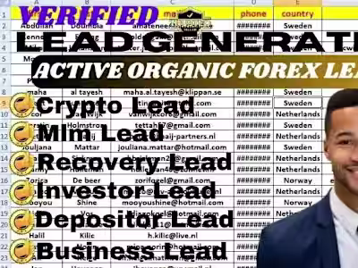 I will Getyou target crypto to email list,hot depositor for lead