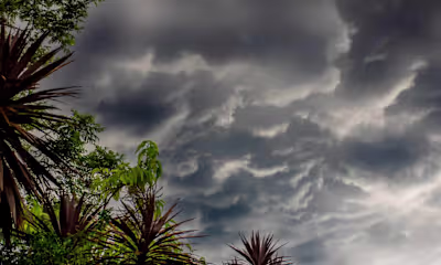 What Are the Effects of Acid Rain?