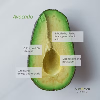 Social Media Management & Content Creation