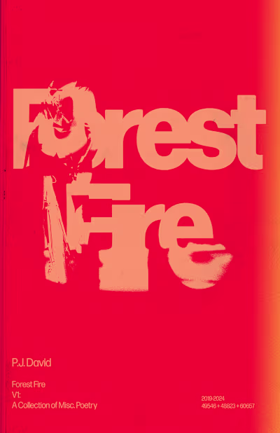 Forest Fire: A full visual