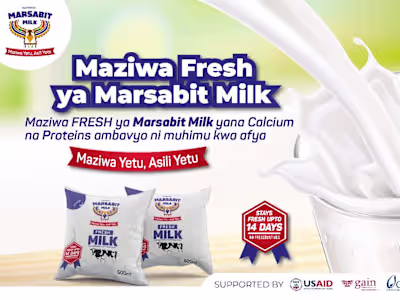 Development and Implementation of Marketing Strategy 