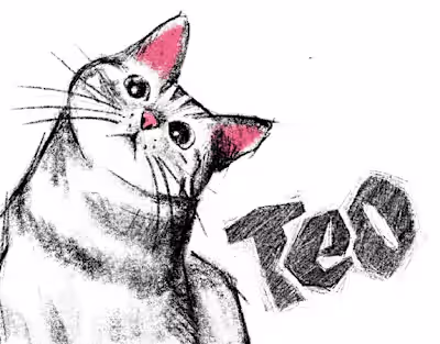 Illustrated cats set