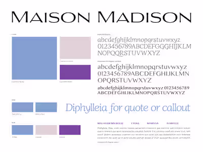 Logo & basic branding