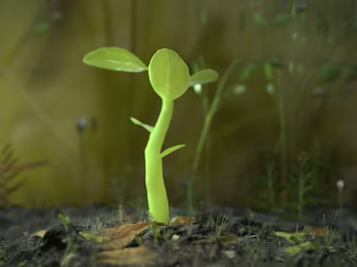 Growing Plant Animation