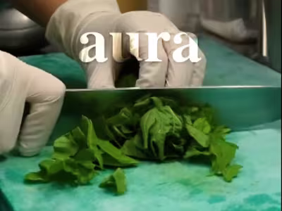 Çıtır Tavuk Salata Promotion