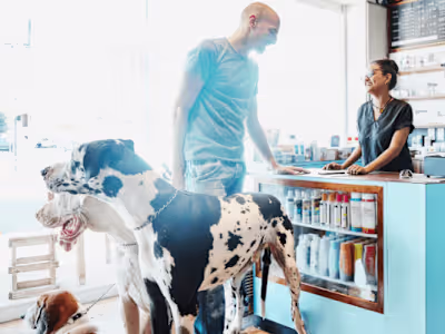 Go To Market strategy for a PE fund Portfolio Company