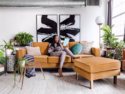Albany Park - 430% Growth in Revenue
