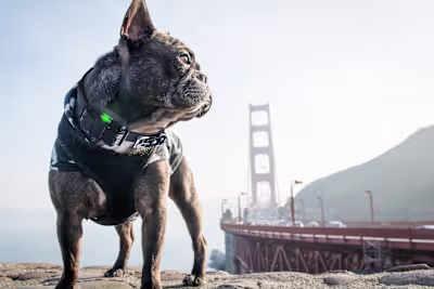 Seamless Photo Integration: Elevating E-commerce Imagery