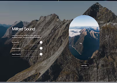 Custom UX/UI design for True South Flights