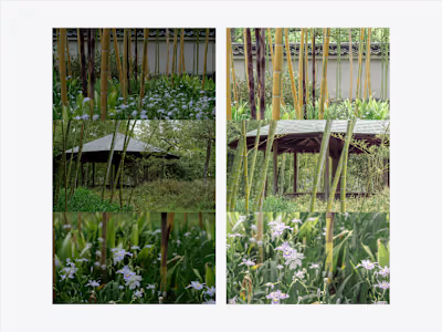 Photography editing of japanese bamboo garden