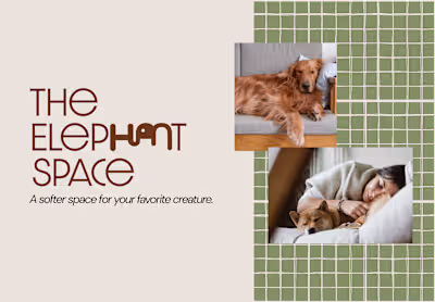Branding & Identity for a Modern Pet Lifestyle Brand