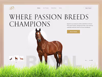 Luxury Equestrian Website — Premium