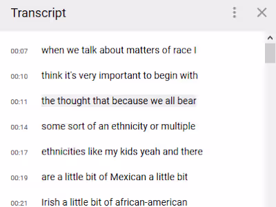 YouTube Video Transcription