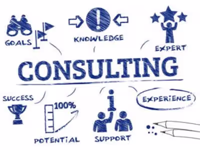 Freelance Consulting Projects
