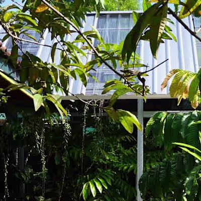 Ifah Plant House on Instagram: “Green House adalah sebuah bangu…