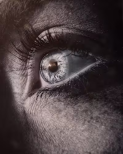 Wisdom of Crowds | 2d art