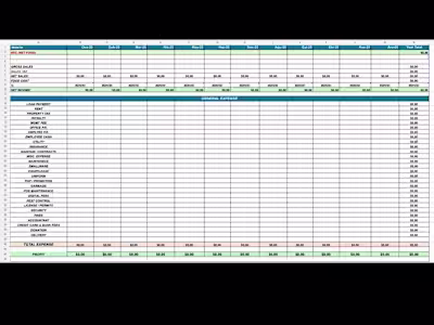 Custom Excel Template for Monthly P&L Tracking