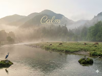 The Donor App Development