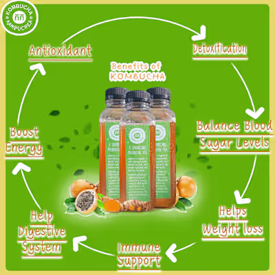 Kombucha (Contract)
