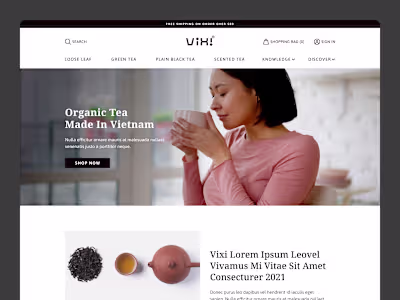 Website Design | ViXi
