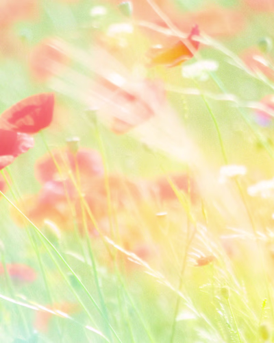 that light that we all like