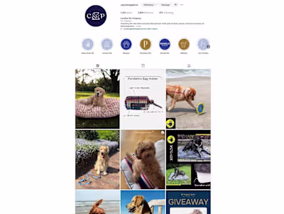 Social Media Strategy & Management Account