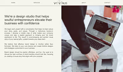 Volume Venus - Minimalist SEO Web Copy