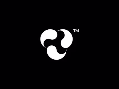 Visvibe-Brand Identity Guidelines