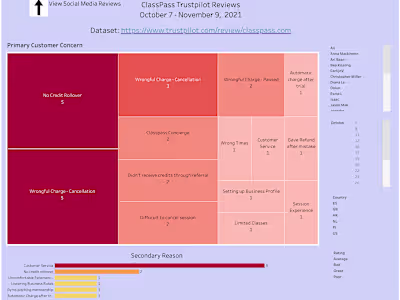 Voice of Customer Analysis