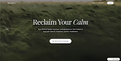 BurnStress is a wellness platform offering nature-inspired s...