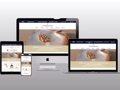 Dynamic E-commerce Website Design