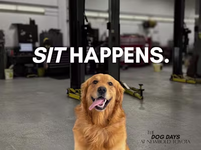 Custom Toyota Marketing Campaign 