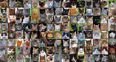 This Kitty Does Not Exist