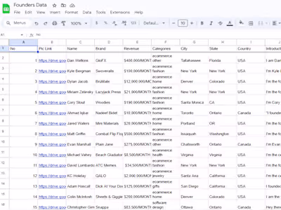 Website data entry