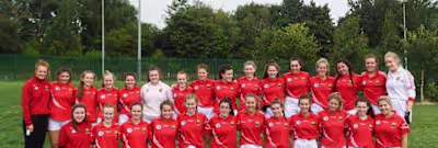 Fixed Missing Scroll Bar Issue on WordPress Website