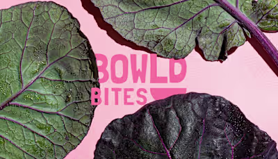 BOWLD BITES - Brand Identity & Social Media on Behance