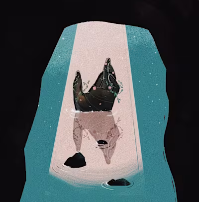 Social Media Illustrations