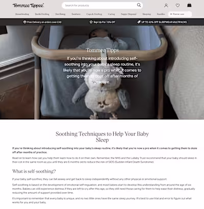 SEO and Content Marketing, Health & Wellness Coaching Business