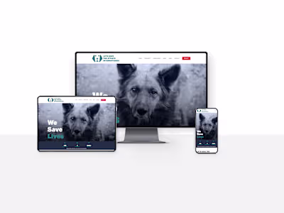 Lets Save the Strays International